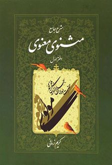 شرح جامع مثنوی معنوی ج1