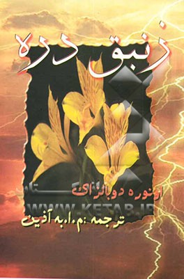 زنبق دره