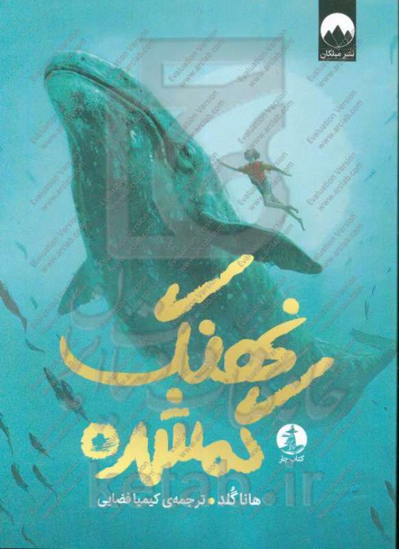 نهنگ گمشده